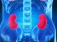 Vitamin B1 protiv bolesti bubrega
