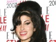 Provaljeno u kuću Amy Winehouse