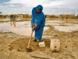 Katastrofalne posljedice klimatskih promjena 