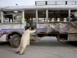 Pakistan: Autobus pao u rijeku, najmanje 34 osobe poginule