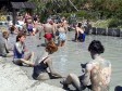 Rusi najgori turisti
