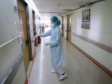 Čeka se potvrda 17 uzoraka na virus H1N1 u TK
