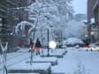 TIP Info - 15. decembar, utorak
