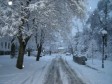 TIP Info - 18. decembar, petak