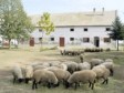 Prihvaćena informacija o stanju bruceloze na području TK