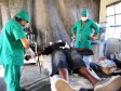 Puerto Rico: Pijani doktori slikali gole pacijente s Haitija