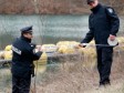 Raskomadani muškarac pronađen na Jarunu je iz Beograda 