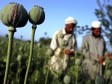 Afganistan najveći svjetski proizvođač hašiša