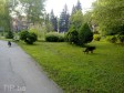 TIP Info - 29. april, četvrtak