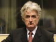 Karadžić nastavlja unakrsno ispitivanje Van Lidena  