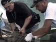 Pucano na istražioce koji tragaju za posmrtnim ostacima u Perućcu