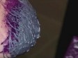VIDEO: Sanjala je da slika grudima