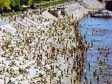 Vrućine u Rusiji: 200 ljudi se utopilo u toku ljeta u Moskvi