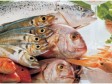 Zaštitna uloga vitamina D  
