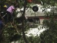 Novi Zeland: U rušenju aviona devet mrtvih   