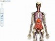 Medicina za svakoga: Google razvija 3D mapu ljudskog tijela