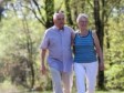 Žustra šetnja godi pamćenju starijih osoba