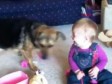 Video: Zarazan smijeh bebe dok se igra s psom