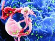 Novi oblik liječenja hepatitisa C ima 65 postotnu uspješnost 