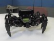 Video: Robot pauk - novi kućni ljubimac