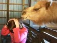 Video: Deva 'navalila' na novinarkinu frizuru