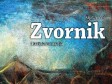 Promocija knjige Zvornik-historijska monografija autora Alije Uzunovića  