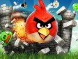 ˝Angry Birds˝ na filmu 