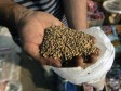 Inspekcijski nadzor s ciljem sprječavanja prometa sjemena piskavice