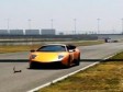 Video: Vjeverica čudom izmakla Lamborghiniju 