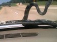 Video: Zmija i brzina od 105 km/h