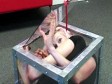 Video: Od elastične žene do muškarca s najviše piercinga 
