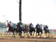 Foto: KARDIV pobjednik druge trke za Coolmore BH kriterijum