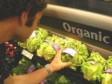 Video: Proizvodnja organske hrane unosan posao