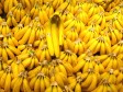 U Srbiji peku rakiju od banana zvanu Majmunovača 