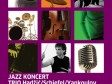 Jazz Trio 7. novembra u Tuzli