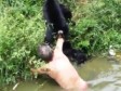 Video: Pijani posjetitelj ZOO-a skočio u kavez s majmunima 