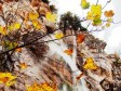 Izložba turističke fotografije u Lukavcu 