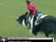 Video: Ovako nešto se može vidjeti samo na američkim stadionima
