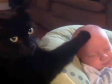 Video: Pogledajte kako je mačak uspavao bebu 