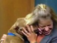 Video: Pit bull navalio na TV voditeljicu usred emisije