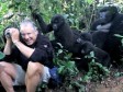 Video: Bliski susret s gorilama završio poljupcem i osmijehom 