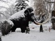 Foto: Otvorena izložba Svijet dinosaurusa