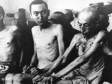 Auschwitz: Nakon ubistva logoraša ostalo preko milion odijela i sedam tona ljudske kose