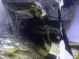 U olupini Costa Concordije pronađena tijela još dvije žene 