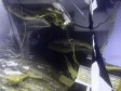 Još jedno tijelo nađeno u olupini broda Costa Concordia