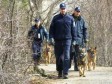 Uhapšen državljanin Srbije osumnjičen za ratne zločine 