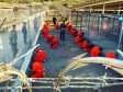 Deset godina zatvora Guantanamo