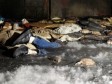 Val hladnoće u istočnoj Evropi odnio 60 života