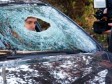 Srpska policija uhapsila pa pustila 12 srpskih huligana! 