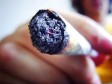 Velika studija dokazala: Marihuana puno manje štetna od cigareta!